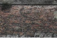 photo texture of wall brick overgrown 0006